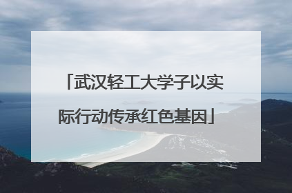 武汉轻工大学子以实际行动传承红色基因
