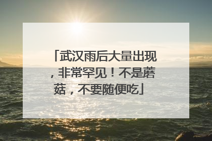 武汉雨后大量出现，非常罕见！不是蘑菇，不要随便吃