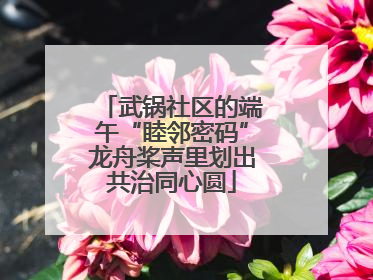 武锅社区的端午“睦邻密码”龙舟桨声里划出共治同心圆