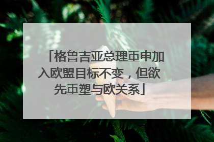 格鲁吉亚总理重申加入欧盟目标不变，但欲先重塑与欧关系
