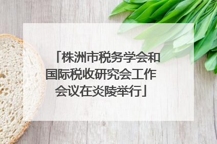 株洲市税务学会和国际税收研究会工作会议在炎陵举行