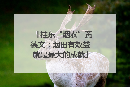 桂东“烟农”黄德文：烟田有效益就是最大的成就