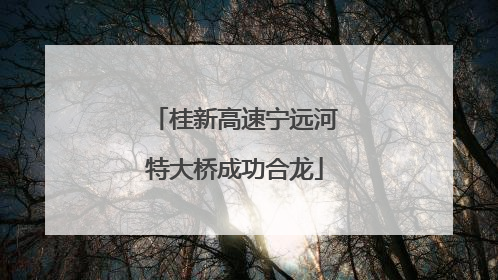 桂新高速宁远河特大桥成功合龙