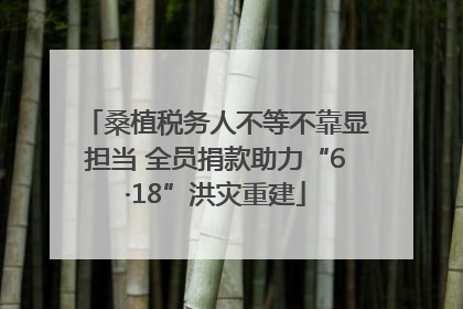 桑植税务人不等不靠显担当 全员捐款助力“6·18”洪灾重建