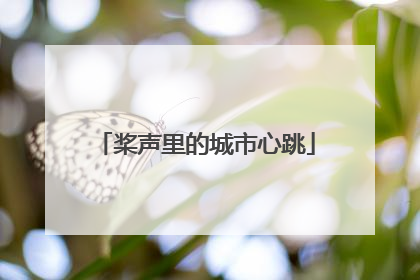 桨声里的城市心跳
