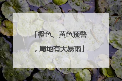 橙色、黄色预警，局地有大暴雨