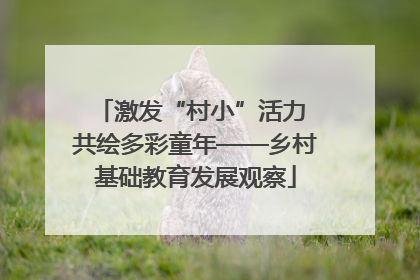 激发“村小”活力 共绘多彩童年——乡村基础教育发展观察