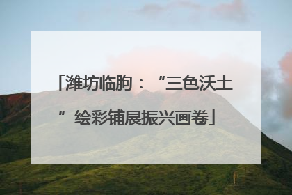 潍坊临朐：“三色沃土”绘彩铺展振兴画卷
