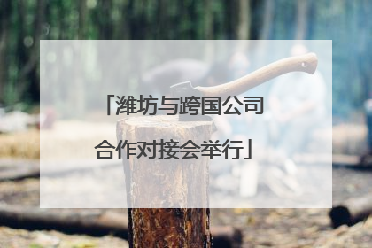 潍坊与跨国公司合作对接会举行