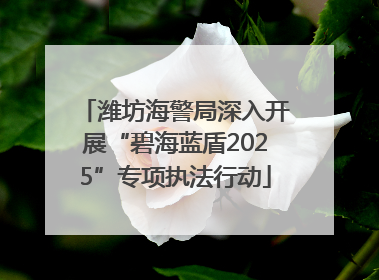 潍坊海警局深入开展“碧海蓝盾2025”专项执法行动