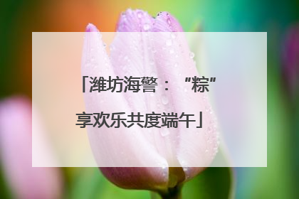 潍坊海警：“粽”享欢乐共度端午