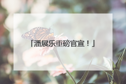潘展乐重磅官宣！
