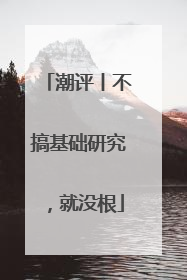 潮评丨不搞基础研究，就没根