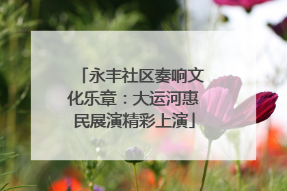 永丰社区奏响文化乐章：大运河惠民展演精彩上演