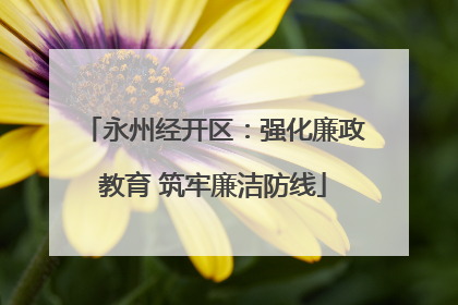 永州经开区：强化廉政教育 筑牢廉洁防线