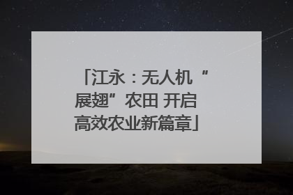江永：无人机“展翅”农田 开启高效农业新篇章