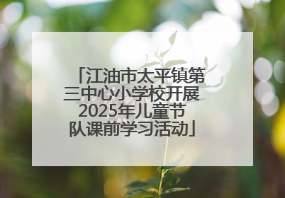 江油市太平镇第三中心小学校开展2025年儿童节队课前学习活动