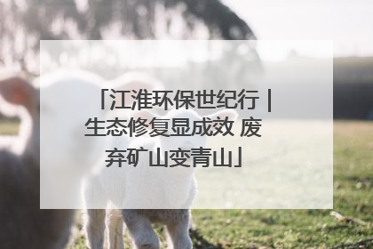 江淮环保世纪行｜生态修复显成效 废弃矿山变青山