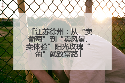 江苏徐州：从“卖葡萄”到“卖风景、卖体验”阳光玫瑰“葡”就致富路