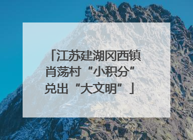 江苏建湖冈西镇肖荡村“小积分”兑出“大文明”