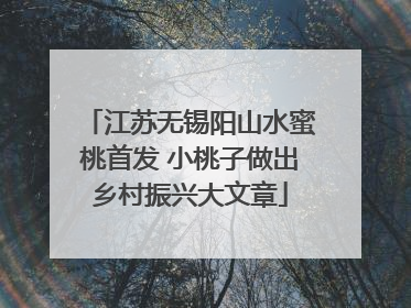 江苏无锡阳山水蜜桃首发 小桃子做出乡村振兴大文章