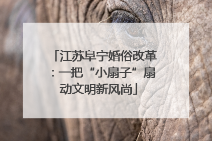 江苏阜宁婚俗改革：一把“小扇子”扇动文明新风尚