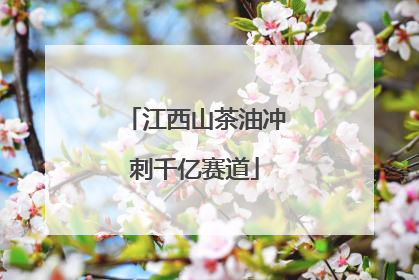 江西山茶油冲刺千亿赛道