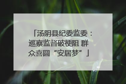 汤阴县纪委监委：巡察监督破梗阻 群众喜圆“安居梦”