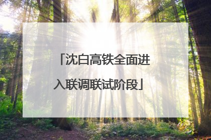 沈白高铁全面进入联调联试阶段
