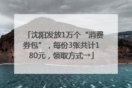 沈阳发放1万个“消费券包”，每份3张共计180元，领取方式→
