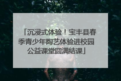 沉浸式体验！宝丰县春季青少年陶艺体验进校园公益课堂圆满结课
