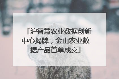 沪智慧农业数据创新中心揭牌，金山农业数据产品首单成交