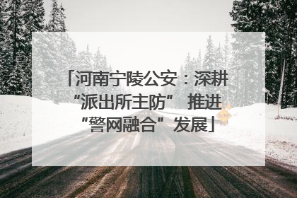 河南宁陵公安：深耕“派出所主防” 推进“警网融合”发展