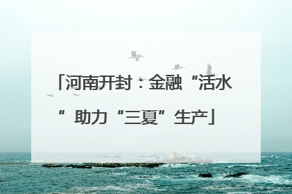 河南开封：金融“活水”助力“三夏”生产