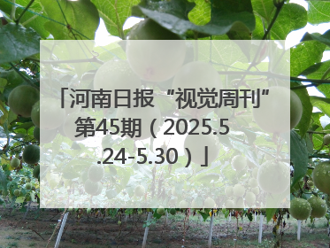 河南日报“视觉周刊”第45期（2025.5.24-5.30）