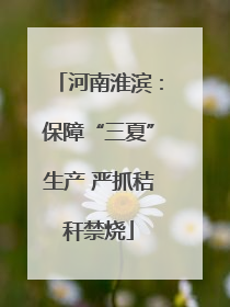 河南淮滨：保障“三夏”生产 严抓秸秆禁烧
