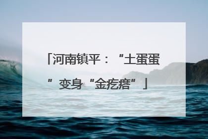 河南镇平：“土蛋蛋”变身“金疙瘩”
