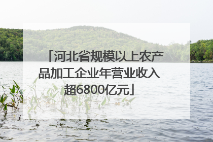 河北省规模以上农产品加工企业年营业收入超6800亿元