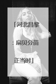 河北昌黎：扇贝分苗正当时