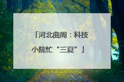河北曲周：科技小院忙“三夏”