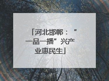 河北邯郸：“一品一播”兴产业惠民生