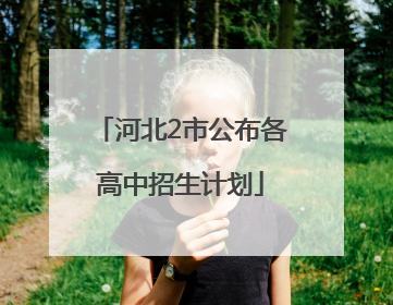 河北2市公布各高中招生计划