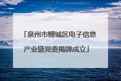 泉州市鲤城区电子信息产业链党委揭牌成立