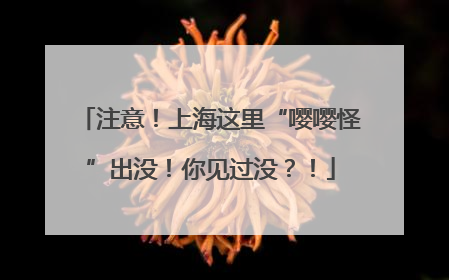 注意！上海这里“嘤嘤怪”出没！你见过没？！