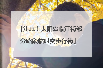 注意！太阳岛临江街部分路段临时变步行街