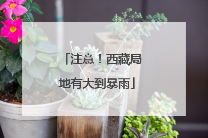 注意！西藏局地有大到暴雨