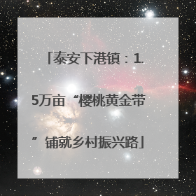 泰安下港镇：1.5万亩“樱桃黄金带”铺就乡村振兴路