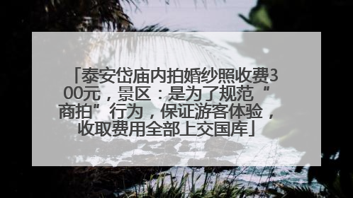 泰安岱庙内拍婚纱照收费300元，景区：是为了规范“商拍”行为，保证游客体验，收取费用全部上交国库