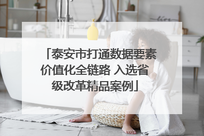 泰安市打通数据要素价值化全链路 入选省级改革精品案例