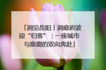 洞见岳阳丨洞庭碧波迎“归客”：一座城市与麋鹿的双向奔赴